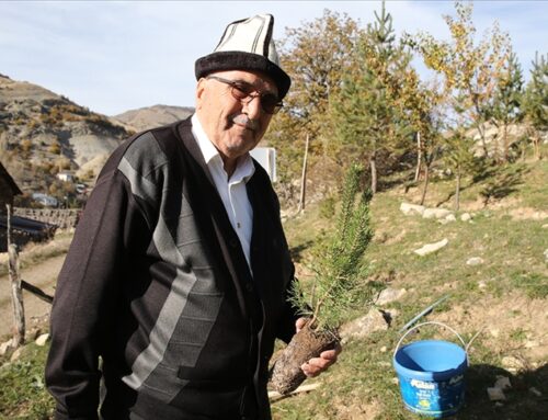 83 yaşındaki “Cemal Emmi” 30 yıldır köyündeki atıl arazileri ağaçlandırıyor